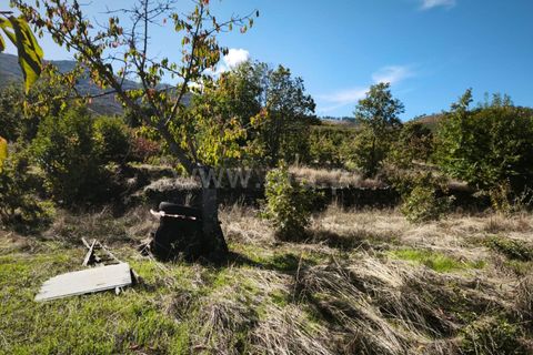 Helårsgrund i Fundao, Castelo Branco, Fundao - € 40.000 | Ref: 255220134 - foto 9
