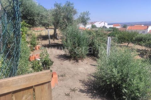 Villa i Fundao, Castelo Branco, Fundao - € 67.500 | Ref: 255220135 - foto 12