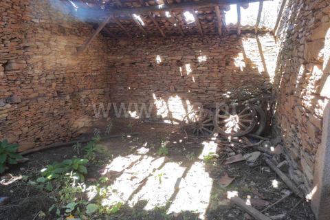 Farm i Fundao, Castelo Branco, Fundao - € 52.000 | Ref: 255220165 - foto 3