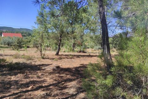Farm i Fundao, Castelo Branco, Fundao - € 52.000 | Ref: 255220165 - foto 5