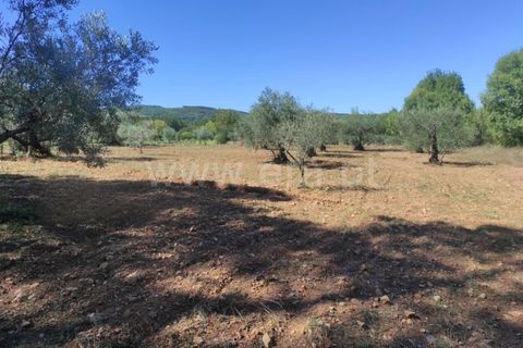 Farm i Fundao, Castelo Branco, Fundao - € 52.000 | Ref: 255220165 - foto 6