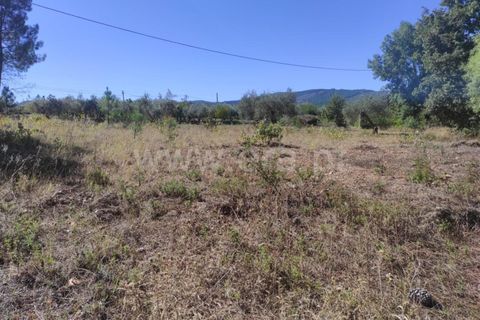 Farm i Fundao, Castelo Branco, Fundao - € 52.000 | Ref: 255220165 - foto 7