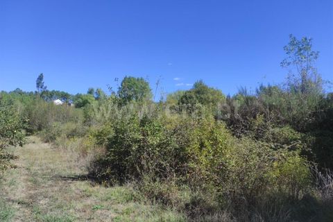 Farm i Fundao, Castelo Branco, Fundao - € 52.000 | Ref: 255220165 - foto 8