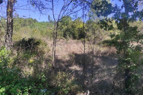 Farm i Fundao, Castelo Branco, Fundao - € 52.000 | Ref: 255220165 - foto 9