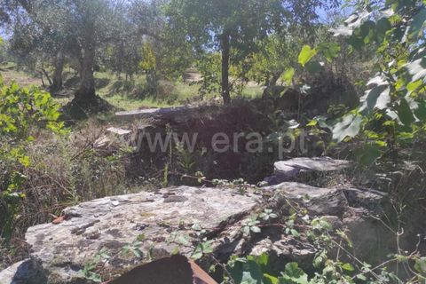 Farm i Fundao, Castelo Branco, Fundao - € 52.000 | Ref: 255220165 - foto 10