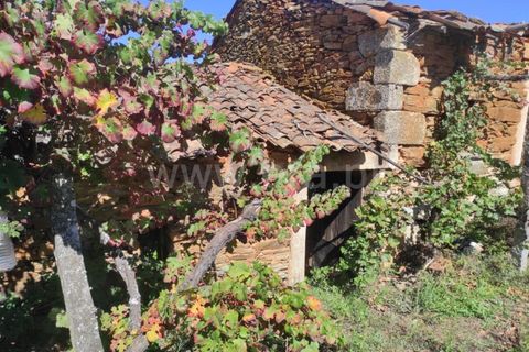 Farm i Fundao, Castelo Branco, Fundao - € 52.000 | Ref: 255220165 - foto 11