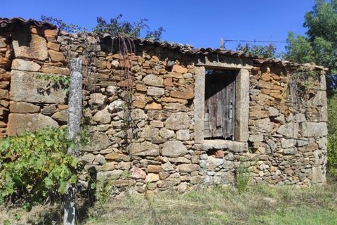 Farm i Fundao, Castelo Branco, Fundao - € 52.000 | Ref: 255220165 - foto 12