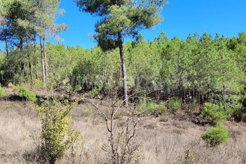 Helårsgrund i Fundao, Castelo Branco, Fundao - € 18.500 | Ref: 255220154 - foto 3