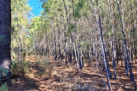 Helårsgrund i Fundao, Castelo Branco, Fundao - € 18.500 | Ref: 255220154 - foto 4