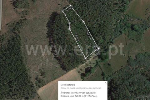 Helårsgrund i Fundao, Castelo Branco, Fundao - € 18.500 | Ref: 255220154 - foto 6