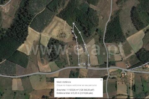 Helårsgrund i Fundao, Castelo Branco, Fundao - € 18.500 | Ref: 255220154 - foto 7