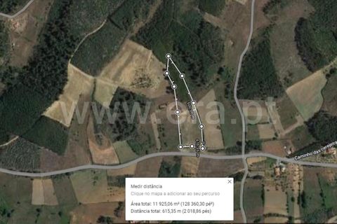 Helårsgrund i Fundao, Castelo Branco, Fundao - € 18.500 | Ref: 255220154 - foto 8