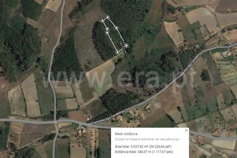 Helårsgrund i Fundao, Castelo Branco, Fundao - € 18.500 | Ref: 255220154 - foto 9