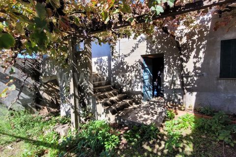Farm i Fundao, Castelo Branco, Fundao - € 165.000 | Ref: 255220153 - foto 4