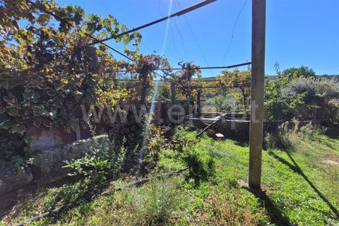 Farm i Fundao, Castelo Branco, Fundao - € 165.000 | Ref: 255220153 - foto 6