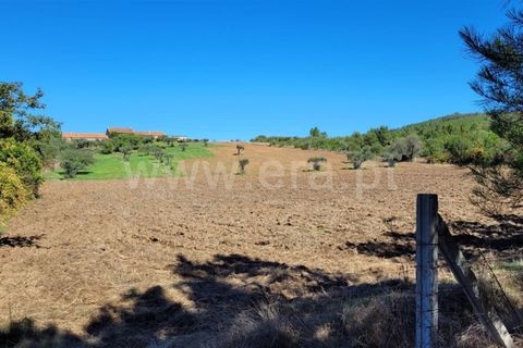 Farm i Fundao, Castelo Branco, Fundao - € 165.000 | Ref: 255220153 - foto 9