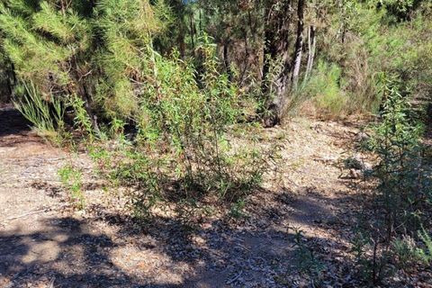 Farm i Fundao, Castelo Branco, Fundao - € 165.000 | Ref: 255220153 - foto 10