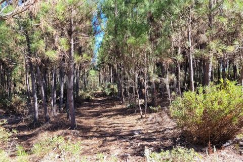 Farm i Fundao, Castelo Branco, Fundao - € 165.000 | Ref: 255220153 - foto 12
