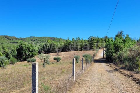 Farm i Fundao, Castelo Branco, Fundao - € 165.000 | Ref: 255220153 - foto 13
