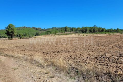 Farm i Fundao, Castelo Branco, Fundao - € 165.000 | Ref: 255220153 - foto 15