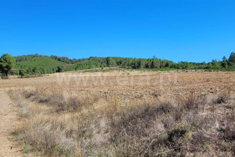 Farm i Fundao, Castelo Branco, Fundao - € 165.000 | Ref: 255220153 - foto 16