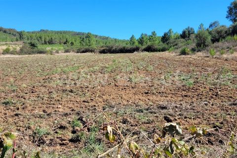 Farm i Fundao, Castelo Branco, Fundao - € 165.000 | Ref: 255220153 - foto 17