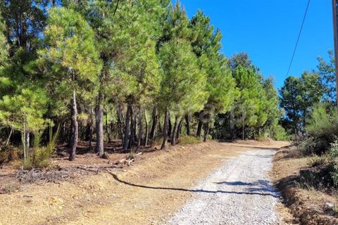 Farm i Fundao, Castelo Branco, Fundao - € 165.000 | Ref: 255220153 - foto 18