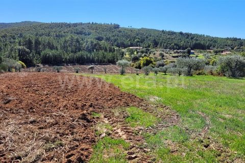 Farm i Fundao, Castelo Branco, Fundao - € 165.000 | Ref: 255220153 - foto 19