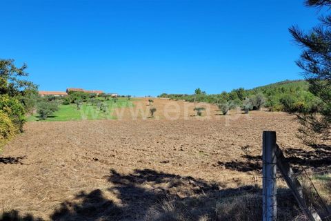 Farm i Fundao, Castelo Branco, Fundao - € 165.000 | Ref: 255220153 - foto 21