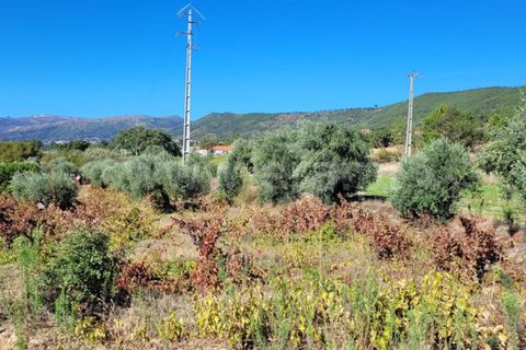 Helårsgrund i Fundao, Castelo Branco, Fundao - € 27.500 | Ref: 255220151 - foto 3
