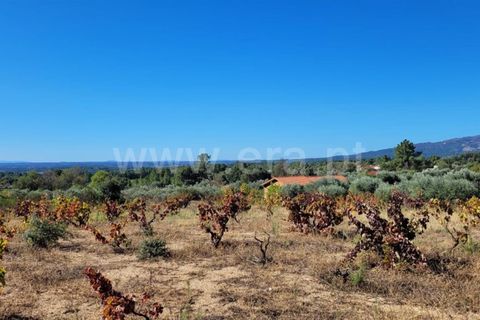 Helårsgrund i Fundao, Castelo Branco, Fundao - € 27.500 | Ref: 255220151 - foto 4