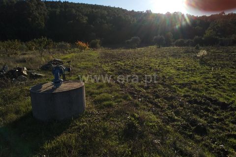 Helårsgrund i Fundao, Castelo Branco, Fundao - € 34.000 | Ref: 255220179 - foto 3