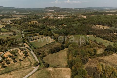 Helårsgrund i Fundao, Castelo Branco, Fundao - € 21.000 | Ref: 255220180 - foto 3