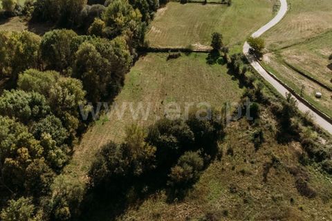 Helårsgrund i Fundao, Castelo Branco, Fundao - € 21.000 | Ref: 255220180 - foto 7