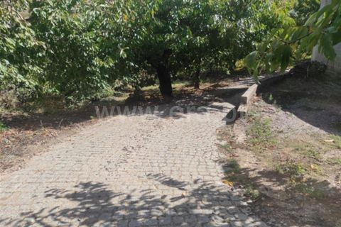 Farm i Fundao, Castelo Branco, Fundao - € 92.500 | Ref: 255220152 - foto 5
