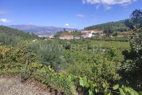 Farm i Fundao, Castelo Branco, Fundao - € 92.500 | Ref: 255220152 - foto 8