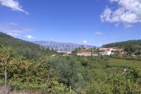Farm i Fundao, Castelo Branco, Fundao - € 92.500 | Ref: 255220152 - foto 9