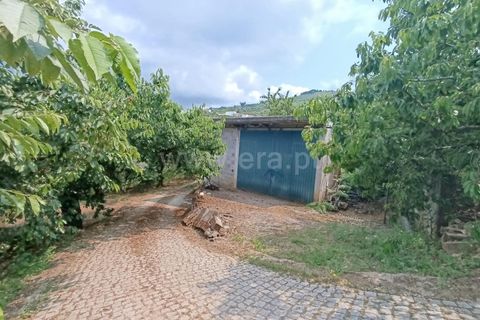 Farm i Fundao, Castelo Branco, Fundao - € 92.500 | Ref: 255220152 - foto 2