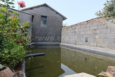 Farm i Fundao, Castelo Branco, Fundao - € 92.500 | Ref: 255220152 - foto 3