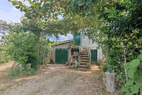 Farm i Fundao, Castelo Branco, Fundao - € 92.500 | Ref: 255220152 - foto 10