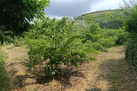 Farm i Fundao, Castelo Branco, Fundao - € 92.500 | Ref: 255220152 - foto 12