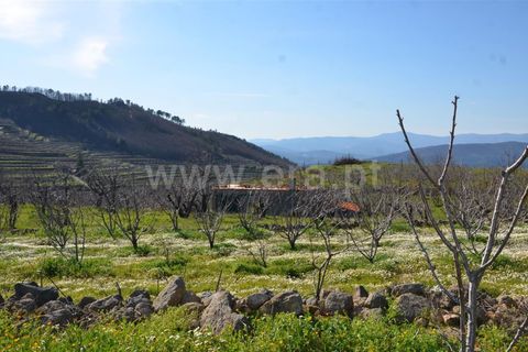 Tomt i Fundao, Castelo Branco, Fundao - € 47 500 | Ref: 255210045 - foto 2