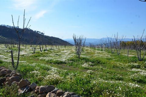 Tomt i Fundao, Castelo Branco, Fundao - € 47 500 | Ref: 255210045 - foto 3