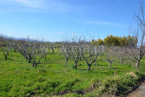 Tomt i Fundao, Castelo Branco, Fundao - € 47 500 | Ref: 255210045 - foto 4