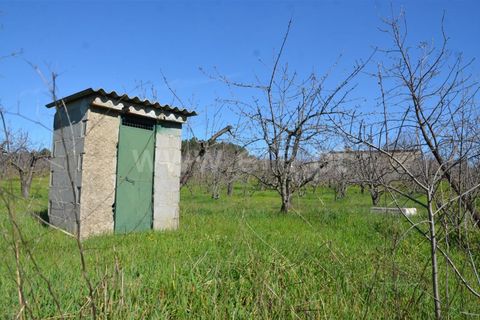Tomt i Fundao, Castelo Branco, Fundao - € 47 500 | Ref: 255210045 - foto 5