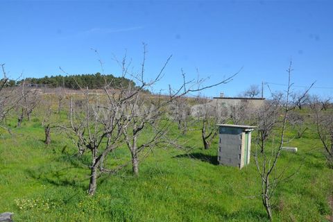 Tomt i Fundao, Castelo Branco, Fundao - € 47 500 | Ref: 255210045 - foto 6