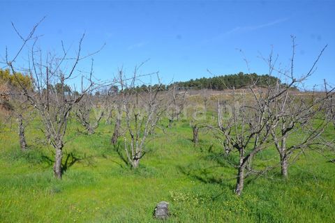 Tomt i Fundao, Castelo Branco, Fundao - € 47 500 | Ref: 255210045 - foto 7