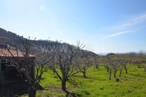Tomt i Fundao, Castelo Branco, Fundao - € 47 500 | Ref: 255210045 - foto 10