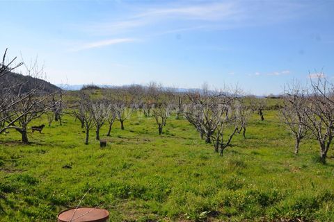 Tomt i Fundao, Castelo Branco, Fundao - € 47 500 | Ref: 255210045 - foto 11