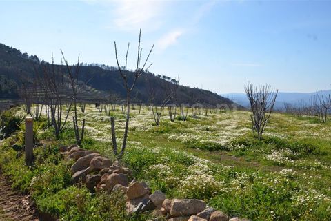 Tomt i Fundao, Castelo Branco, Fundao - € 47 500 | Ref: 255210045 - foto 15